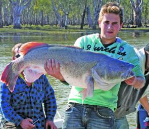 Rob from Moama was on the water around Barmah for about 30 seconds when a 115cm cod slammed his AC Invader.