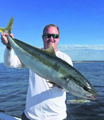 Lee McDuffie opened his Victorian kingfish account with a bang – he got a bunch of solid kings on topwater lures. Tackle house Feed poppers and Rapala X-Rap Sub Walks did the damage. The boys also got towelled up by some seriously big fish.