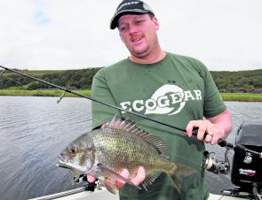 The author has been having success catching black bream on 2” Dragon Maggot soft plastic lures.