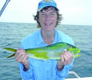 This baby mahi mahi was a by catch of trolling skirts for Spaniards.