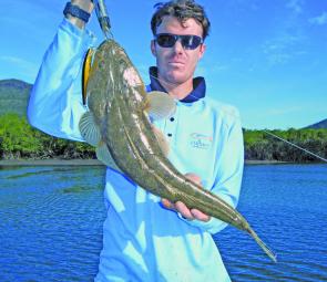 Cooler water means flathead are on the cards.