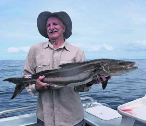 Not a bad by-catch. This cobia was caught floatlining for snapper.