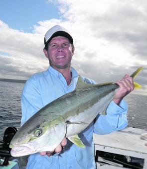 Smaller kingfish like this one can be caught at Barrenjoey Headland using live yellowtail or squid strips.