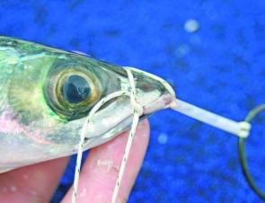 tie a double overhand knot to the side of the bait 
