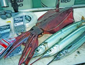 All the gear for a snapper session: hooks, leader, swivels and fresh bait.