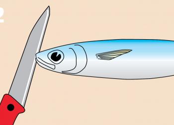With a vegetable knife, make a small incision in the bait’s nose.