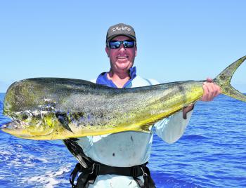 By-catch like mahimahi, yellowfin tuna and wahoo are commonplace when chasing marlin with lures and baits.