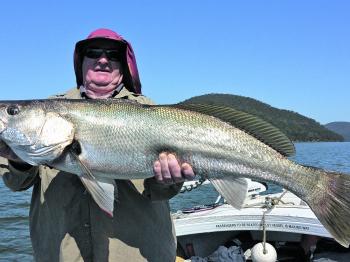 Some big mulloway have been caught in the lower reaches of late. Use live baits and fish the tide changes to score ripper fish like this one that Peter caught recently.