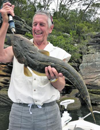 Some great flathead were caught over spring, this should continue as they chase baitfish and prawns in the brackish waters from Wisemans to Windsor.