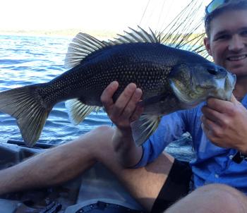 Ewen Maddock Dam is home to some seriously large bass, like this absolute pig caught by Doug Thornton. Don’t come under-gunned, or you’ll be fruitlessly trying to dig them out of weed and sedge grass all day.
