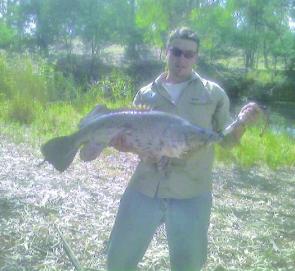 Dave Landmater with 101cm Murray cod.