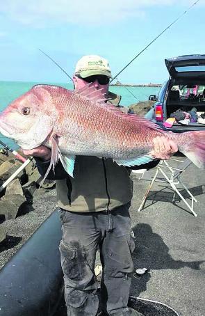 Tim Maling with a beautiful snapper caught off the lee breakwater. Just one of the many exciting fish that can be caught land-based.