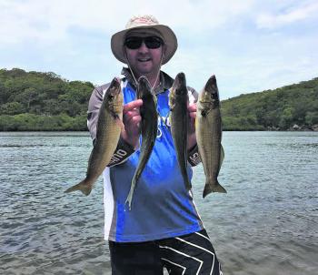 Mick got these nice whiting in Port Hacking recently.