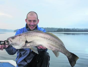 Josh Hollis with a nice estuary mulloway caught on a plastic and released shortly after this photo in super condition.