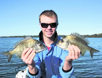 These bream are the typical sized surface fish that Tuross produces.