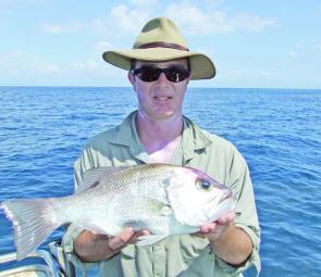 Chris holds a typical sized pearl perch at present. 