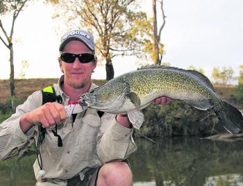 Jarrod Biles of Walkabout Tours with a lovely Murray cod landed on the bank. 