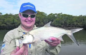 This scrappy tarpon fell to a Gulp Minnow.