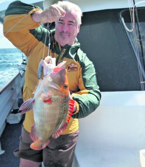 Trevor with a red throat emperor; the hooks are a two hook gang and the bait a long strip of iodine bream. Fully distended mouths can engulf quite large offerings. 