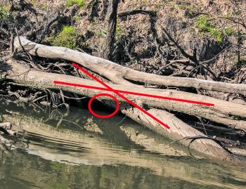 On this picture the snags are out of the water to help demonstrate this type of structure. Crossover is where two or more logs have fallen over each other. And if the water was covering these logs, the circle is where you want to place your cast. 