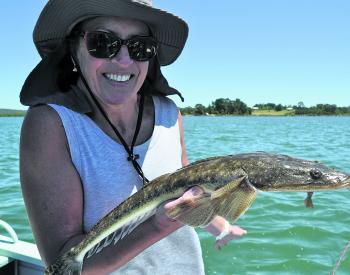 Flathead are a popular target species, and some good baitfishing will hook you a decent feed. 