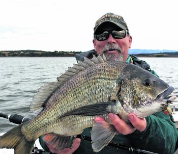 The author with an absolute horse of a black bream taken on a Cranka crab.