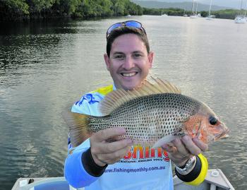 Golden snapper are thriving in the NFZ.